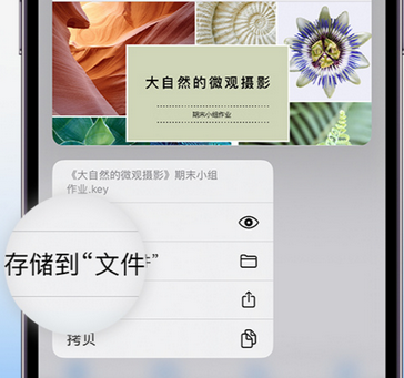 宝兴apple维修中心分享iPhone文件应用中存储和找到下载文件