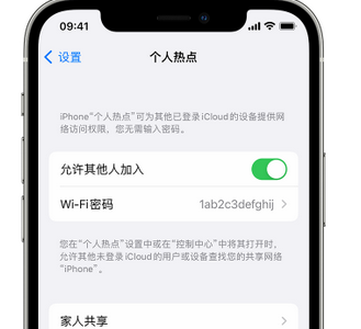 宝兴apple服务站点分享iPhone上个人热点丢失了怎么办