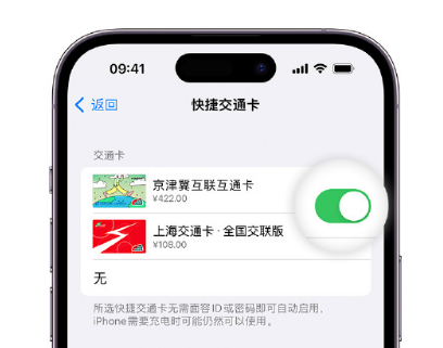 宝兴apple维修点分享iPhone上更换Apple Pay快捷交通卡手绘卡面 