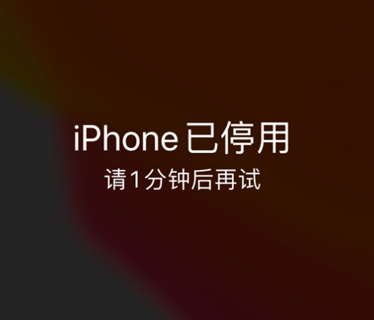 宝兴苹果手机维修分享:iPhone 显示“不可用”或“已停用”怎么办？还能保留数据吗？ 