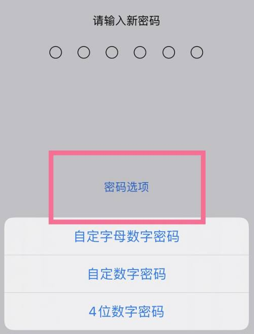 宝兴苹果14维修分享iPhone 14plus设置密码的方法 