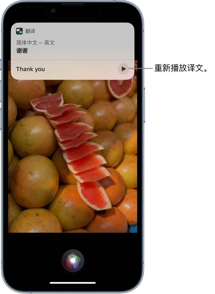 宝兴苹果14维修分享 iPhone 14 机型中使用 Siri：了解 Siri 能帮你做什么 