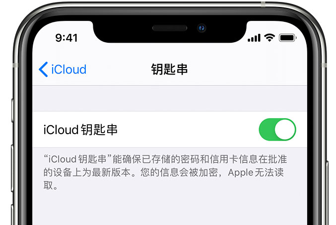 宝兴苹果手机维修分享在 iPhone 上开启 iCloud 钥匙串之后会储存哪些信息 